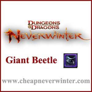 Picture of Giant Beetle